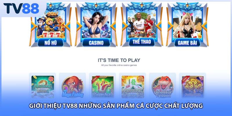 Giới thiệu TV88 những sản phẩm cá cược chất lượng