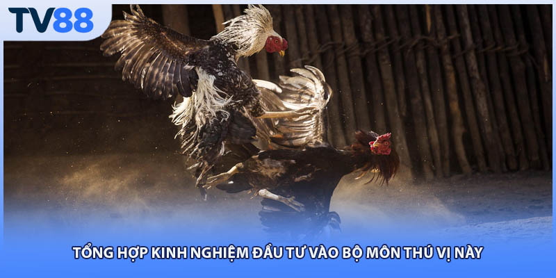 Tổng hợp kinh nghiệm đầu tư vào bộ môn thú vị này